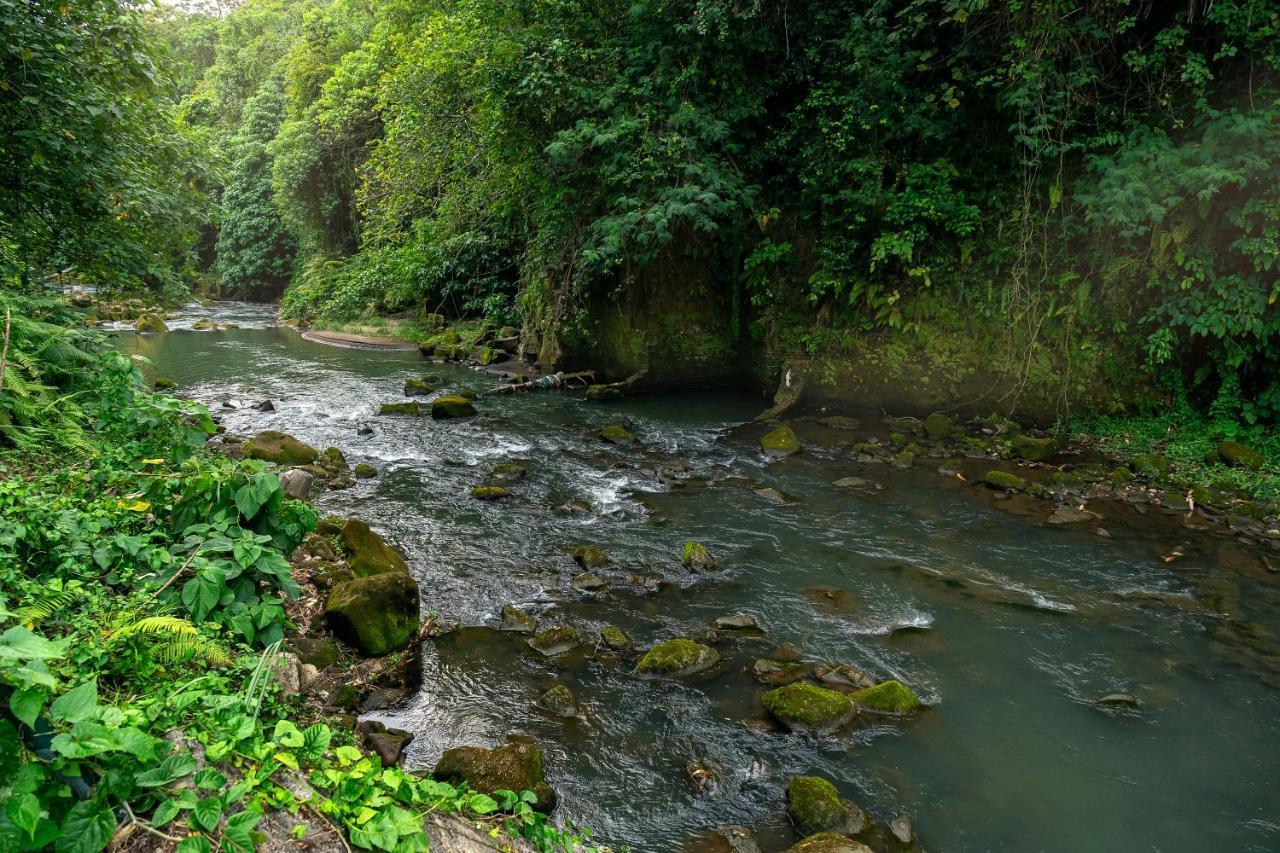 The Pyramid Ubud River Villas Payangan Zewnętrze zdjęcie