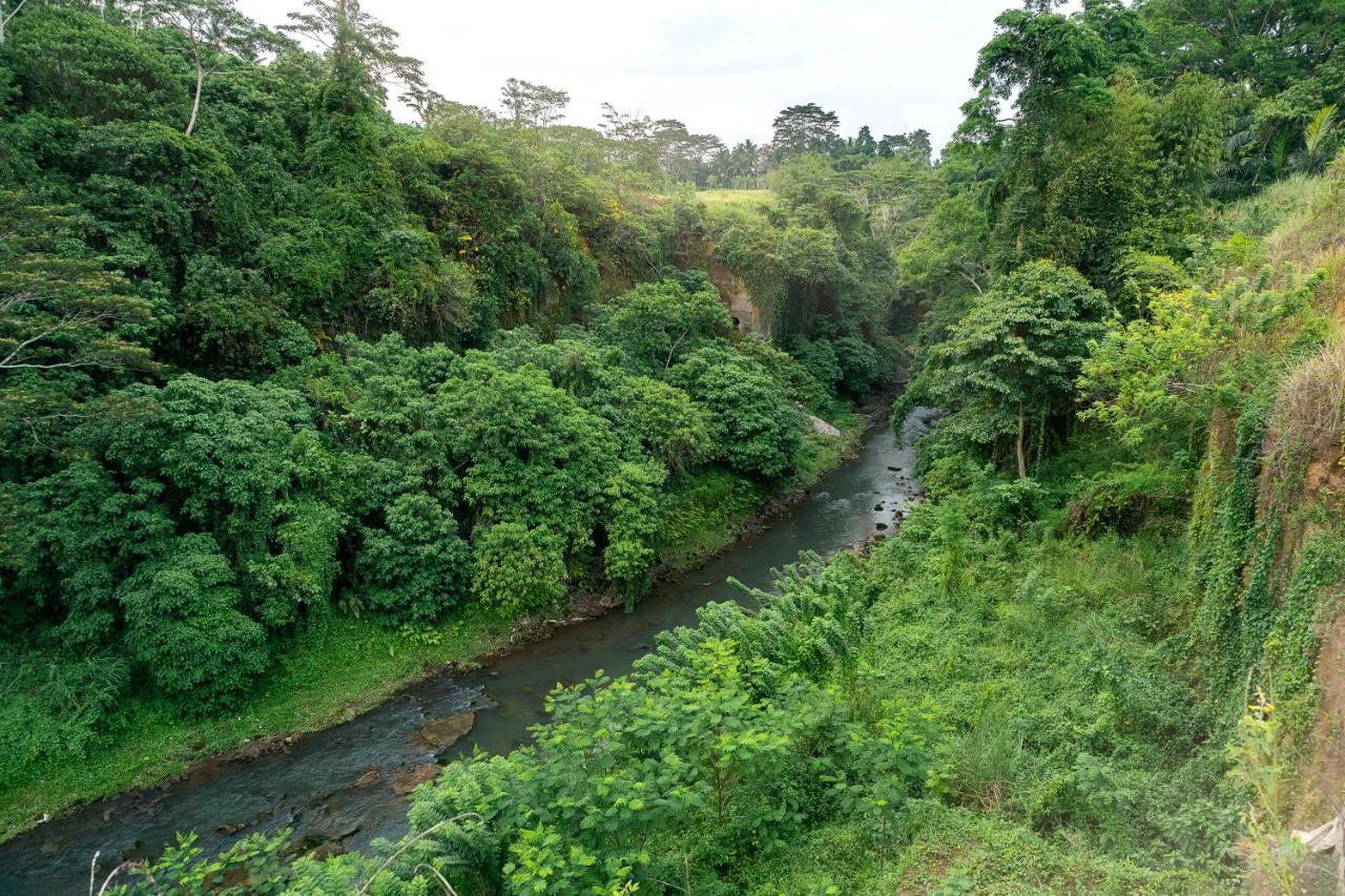 The Pyramid Ubud River Villas Payangan Zewnętrze zdjęcie